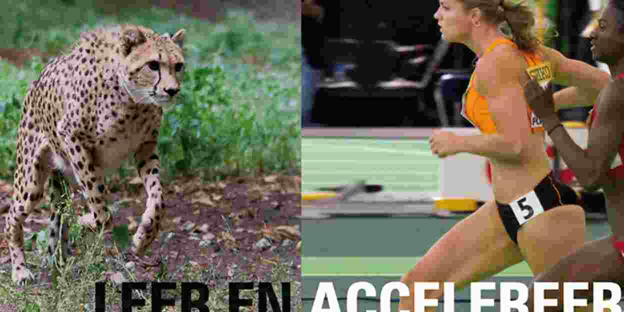 Dafne Schippers versus de cheeta