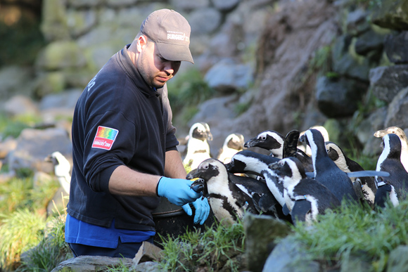 Kruip in de huid van