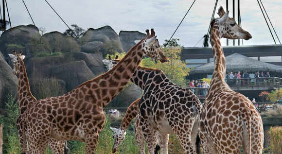 Rondleiding Burgers' Highlights