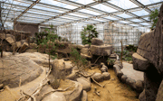Desert-update 1: de kop is eraf!