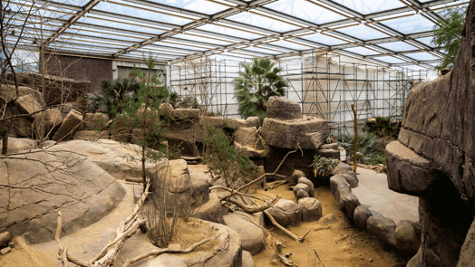 Desert-update 1: de kop is eraf!