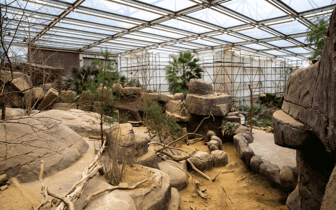 Desert-update 1: de kop is eraf!