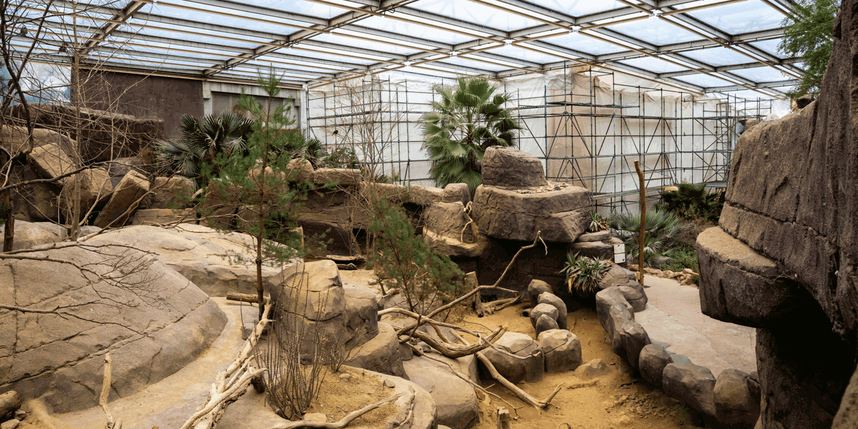 Desert-update 1: de kop is eraf!