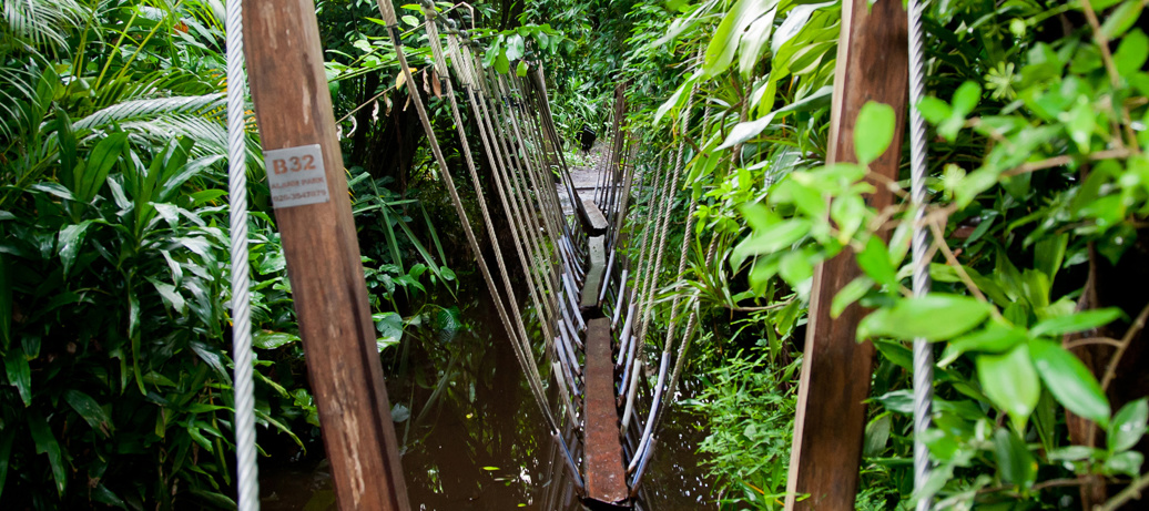 Activiteiten & Entertainment