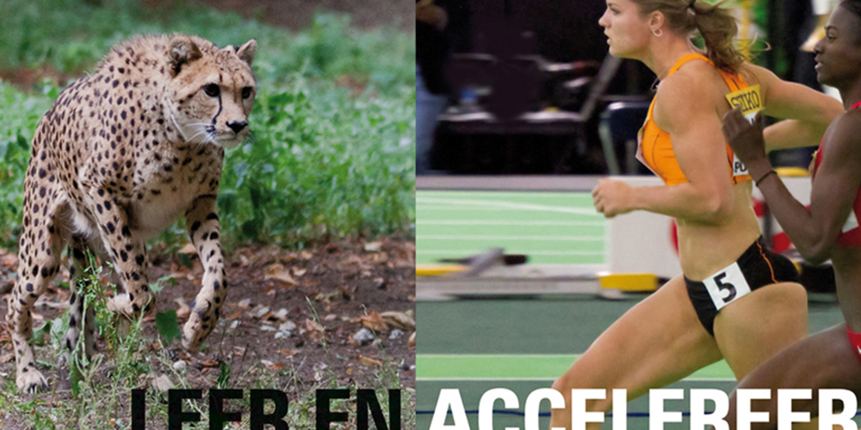 Dafne Schippers versus de cheeta