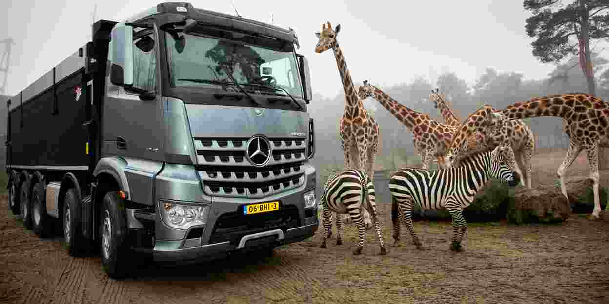 Nieuwste Mercedes-truck is ‘giraffenproof’