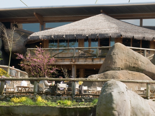 Een receptie bij uw borrel?