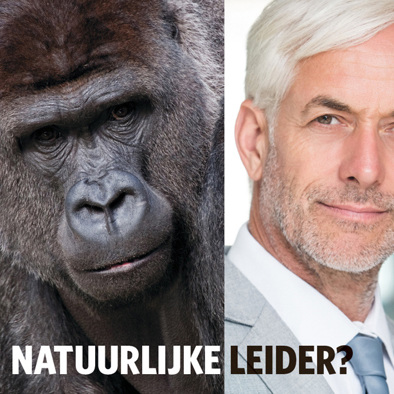 Bio-inspiratie: lessen uit de natuur