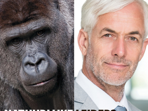 Bio-inspiratie voor organisaties