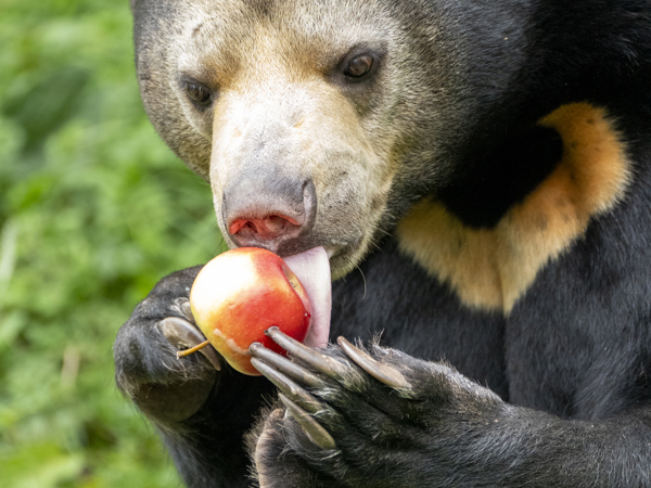 23275640-8033-446d-b7db-19fdff1f54cb