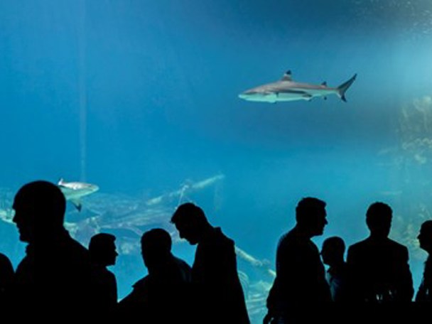 Unieke natuurbeleving