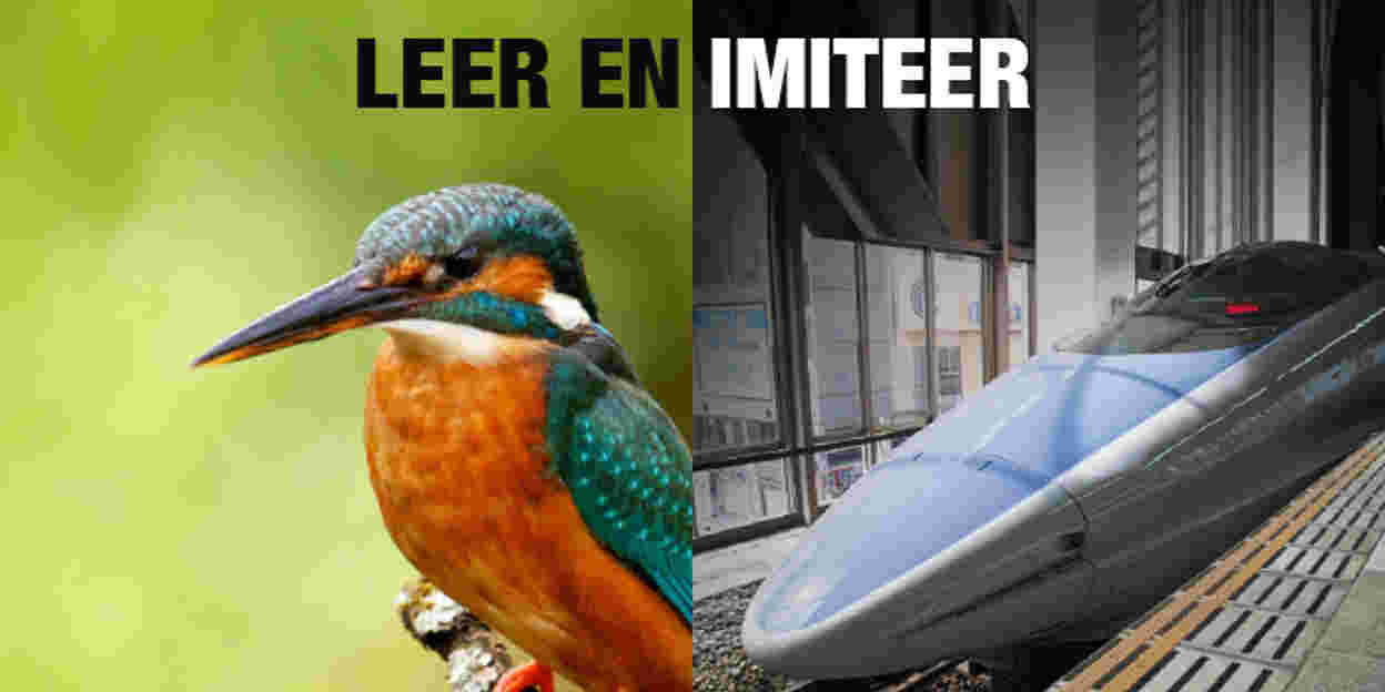 IJsvogel inspireert hogesnelheidstrein