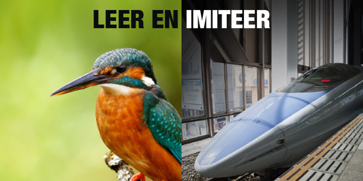 IJsvogel inspireert hogesnelheidstrein