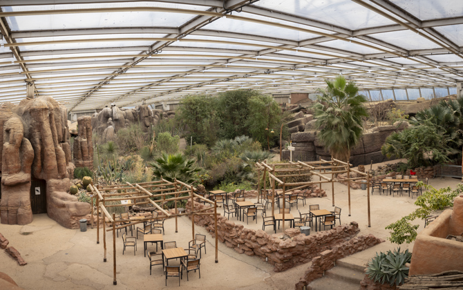 Burgers' Zoo start omvangrijke verbouwing Desert