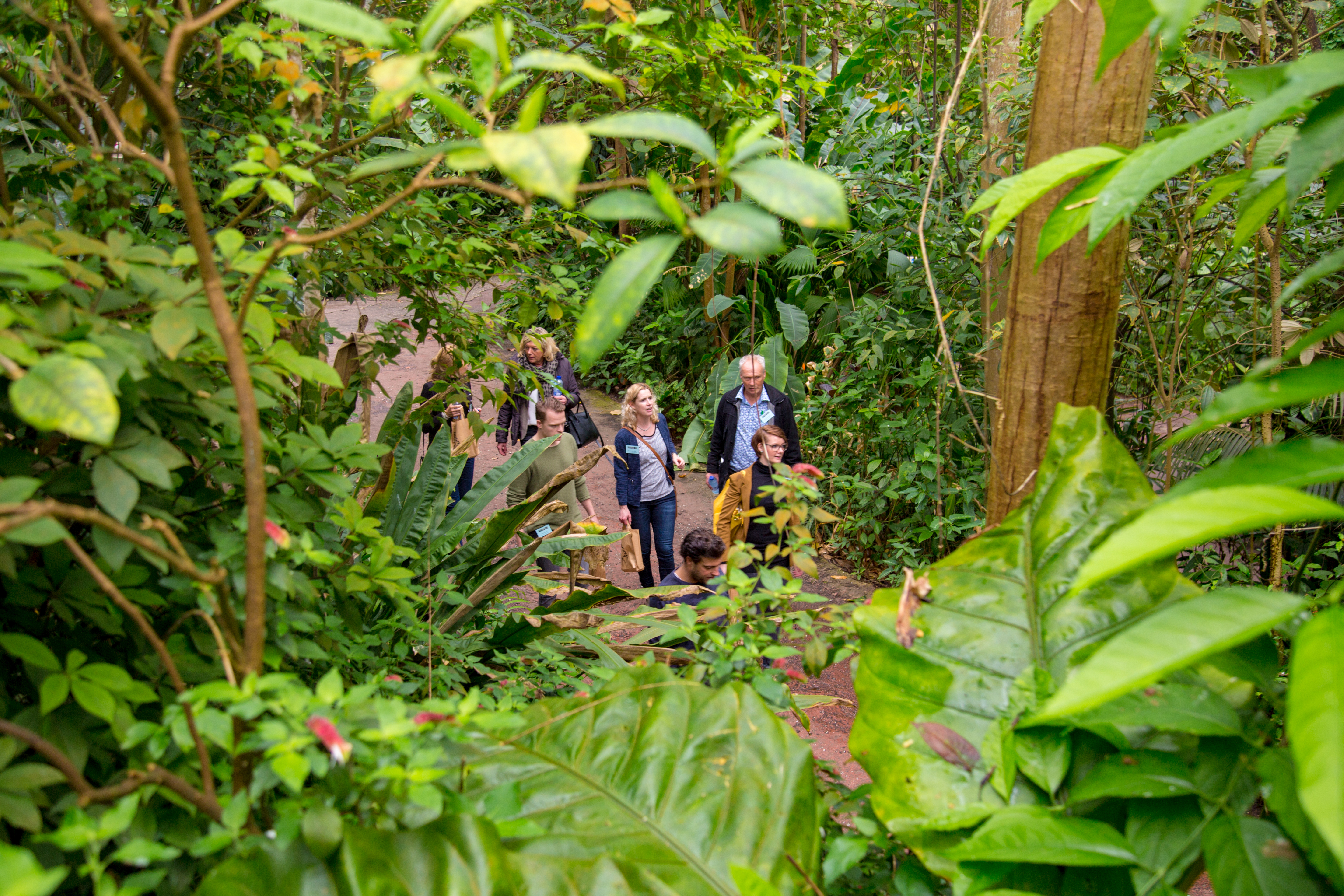 CJ 8952 Vakmedianet Coen De Jong (35)