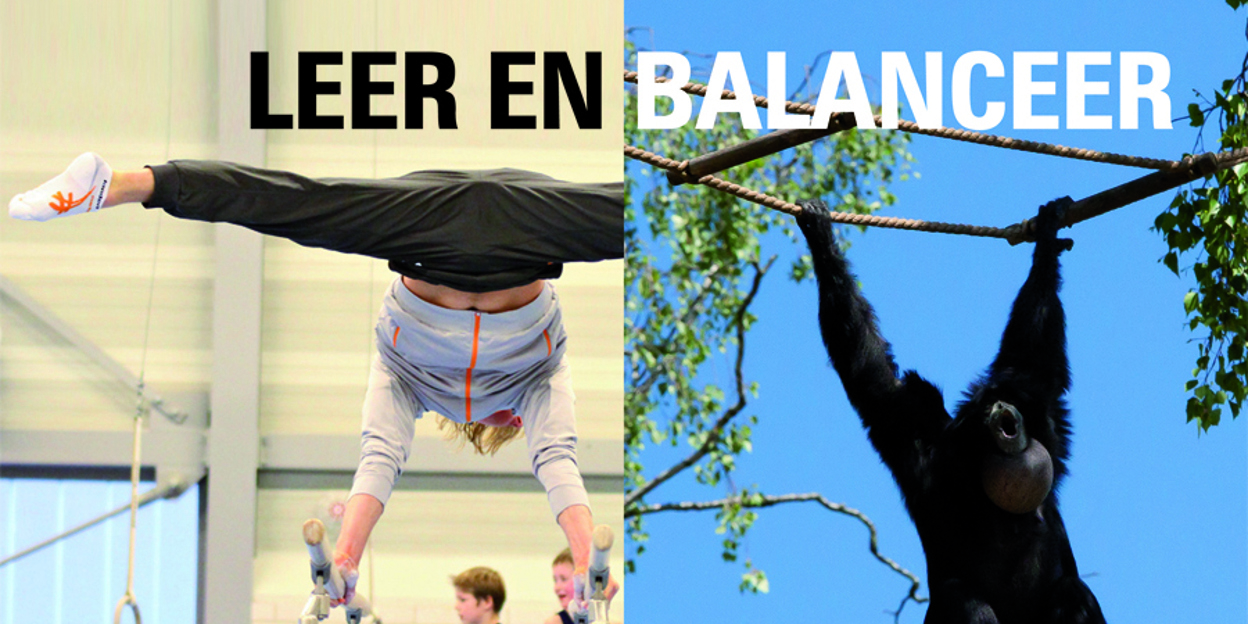 Epke Zonderland versus de siamang