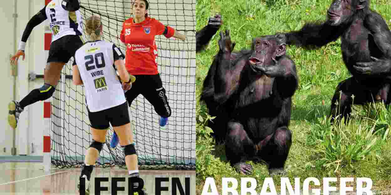 De Nederlandse handbaldames versus de chimpansees