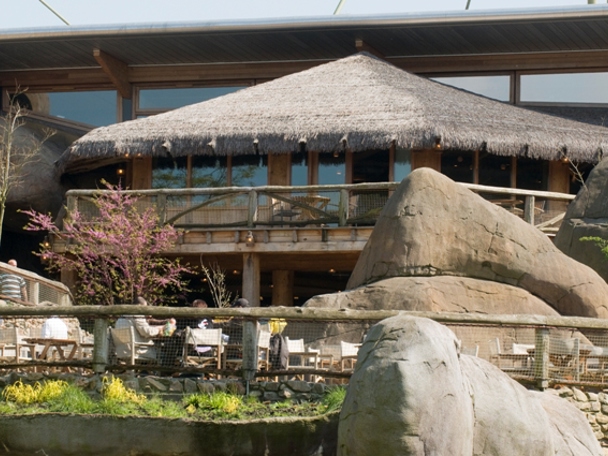 Waarmee kunnen wij u helpen?