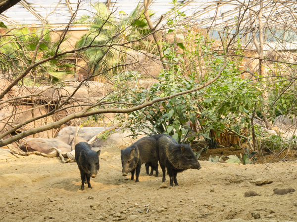 0b90e475-0092-4ebc-ab58-f2283fac30c1